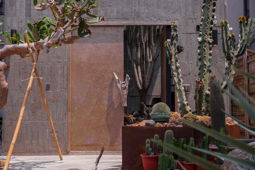 酉Succulent&#038;Artwork|台中南屯仙人掌秘境，不限時戶外咖啡廳，沙漠造景+千層蛋糕超好拍！