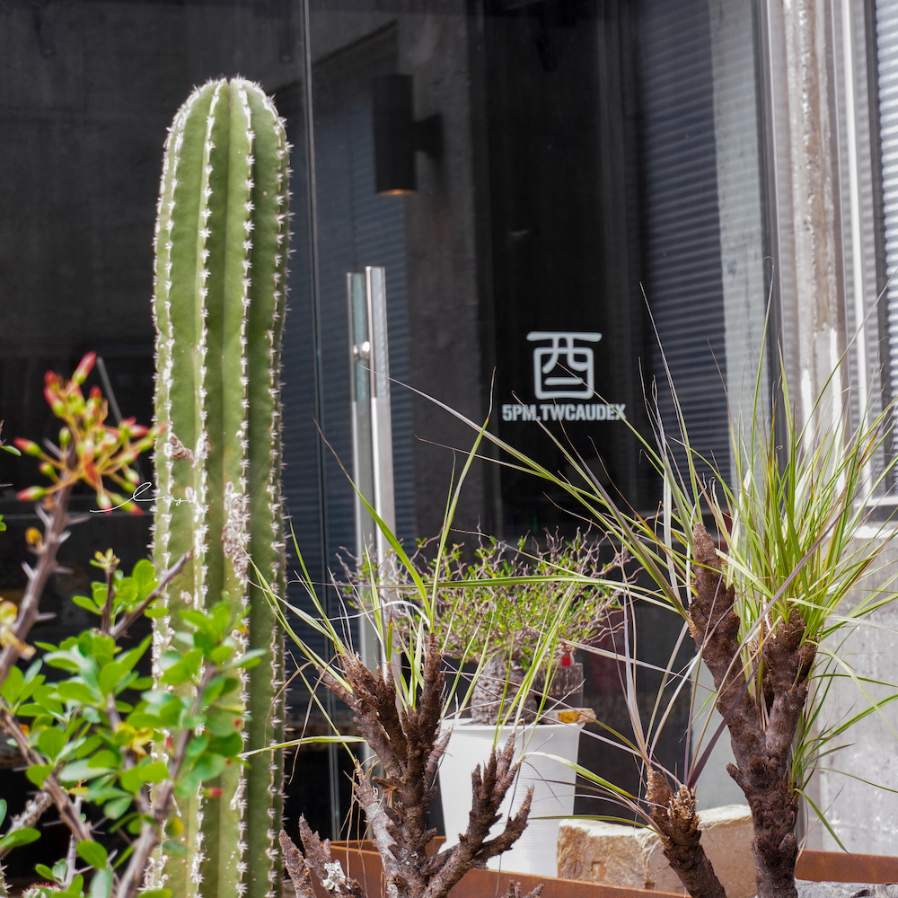 酉Succulent&#038;Artwork|台中南屯仙人掌秘境，不限時戶外咖啡廳，沙漠造景+千層蛋糕超好拍！