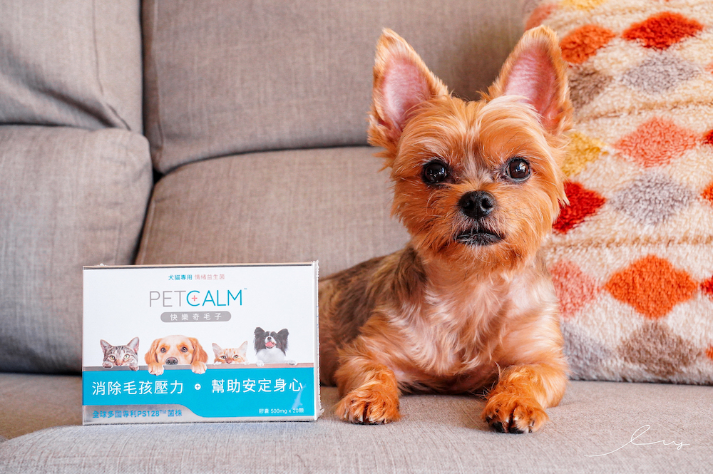 台灣首支專業級 寵物益生菌 快樂奇毛子 PET CALM，消除毛孩壓力！