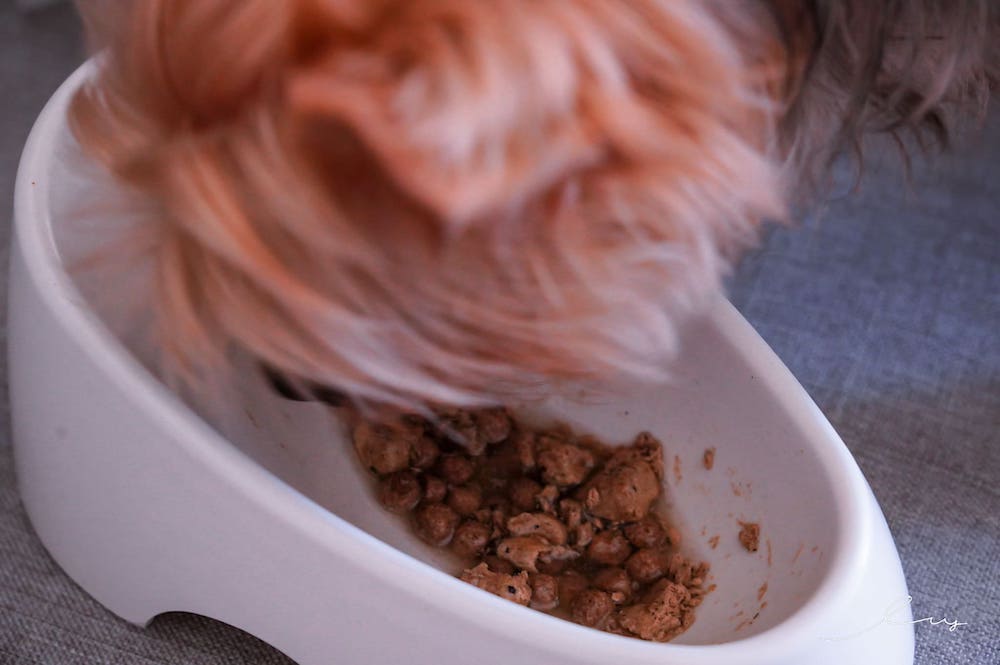 狗狗凍乾飼料推薦！NZ Natural鮮開凍 woof狗狗冷凍乾燥生食餐，添加100％紐西蘭食材、超級食物製作，營養又攜帶方便！