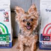 初卡樂TrueColours |高評價狗狗飼料推薦，100%澳洲生產製造，添加鴯鶓油的健康營養狗飼料！