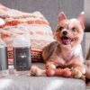 Pride奈米鉑金-寵物洗沐專家 | 狗狗沐浴乳推薦，天然抗菌又除臭，搭配順毛慕斯溫和不傷膚！