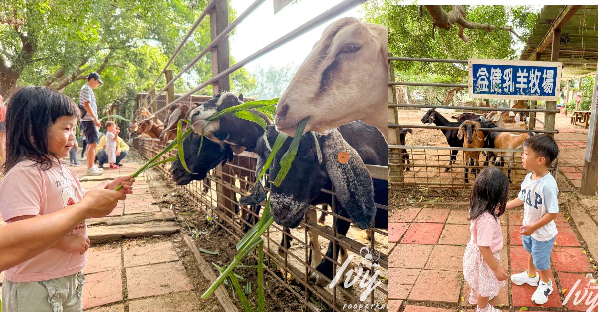 益健乳羊牧場 |台中免費親子景點，免門票只要20元牧草就能餵羊餵雞，還能吃到羊乳、羊乳饅頭！