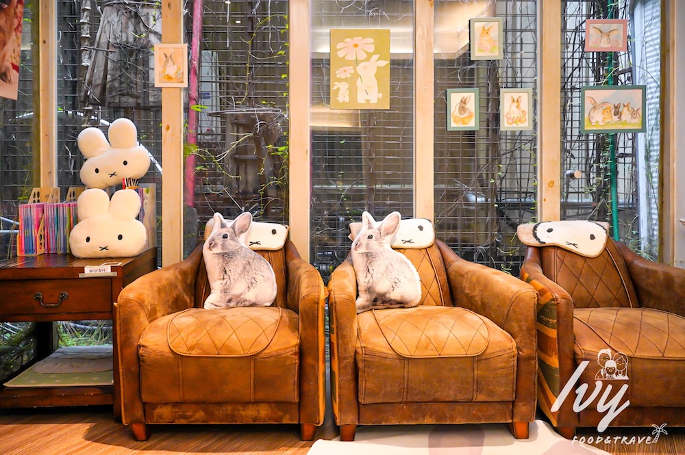 綠萼159 |台中北屯寵物餐廳,儀式感滿分的南法料理,還能餵食摸萌兔! 20250714214750 0 a24044