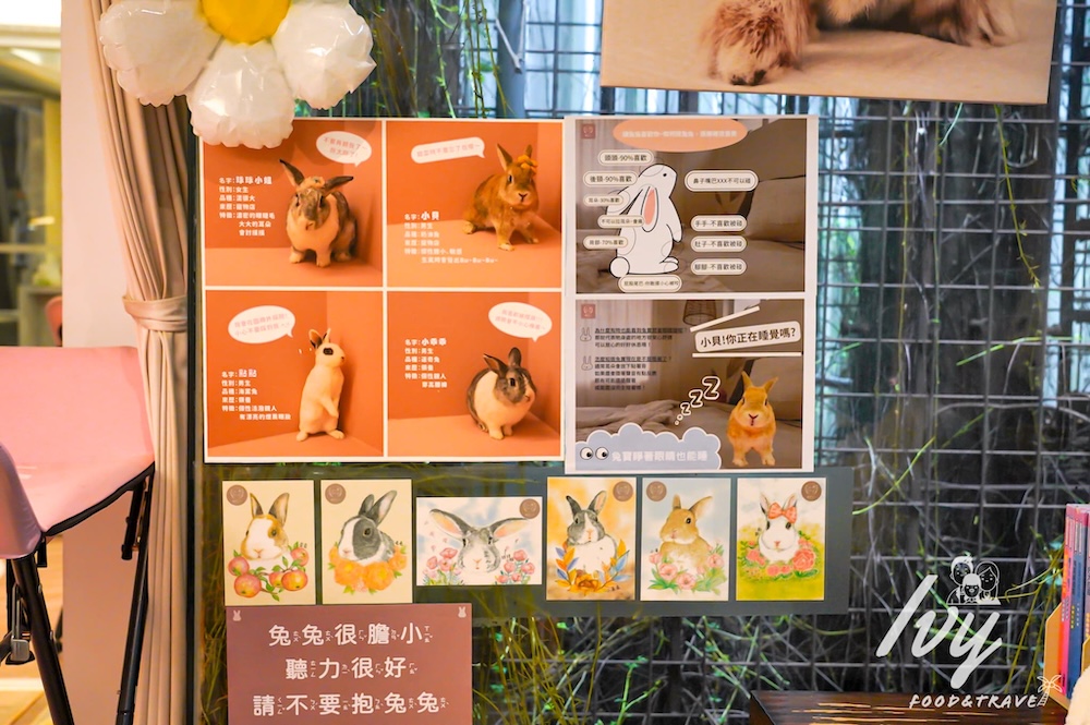 綠萼159 |台中北屯寵物餐廳,儀式感滿分的南法料理,還能餵食摸萌兔! 20250714214751 0 79c046