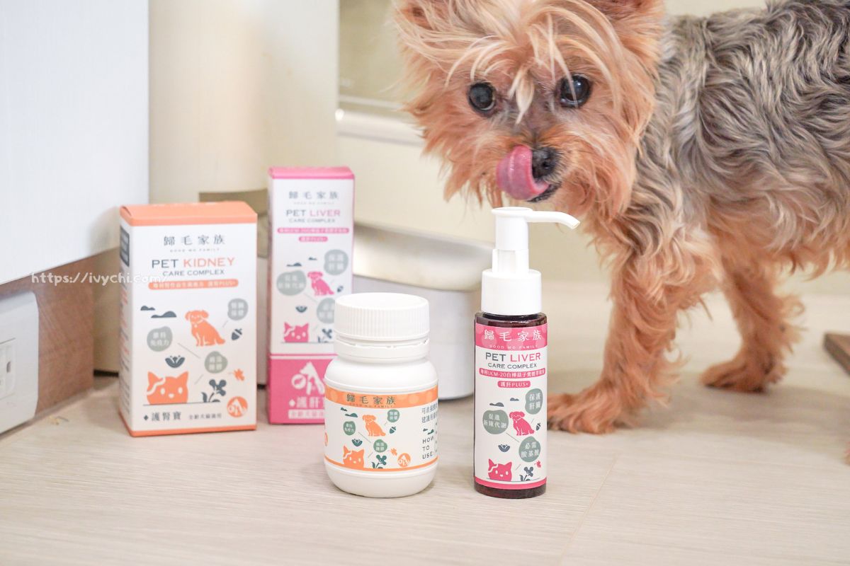 寵物保健品推薦-歸毛家族護肝寶、護腎寶,適口性佳,讓毛孩從日常保養做全方位守護! 寵物保健品推薦-歸毛家族護肝寶、護腎寶,適口性佳,讓毛孩從日常保養做全方位守護!