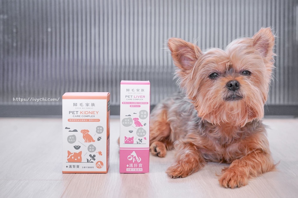 20250805213623 0 f87021