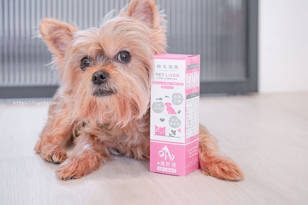 20250805215554 0 4186c3