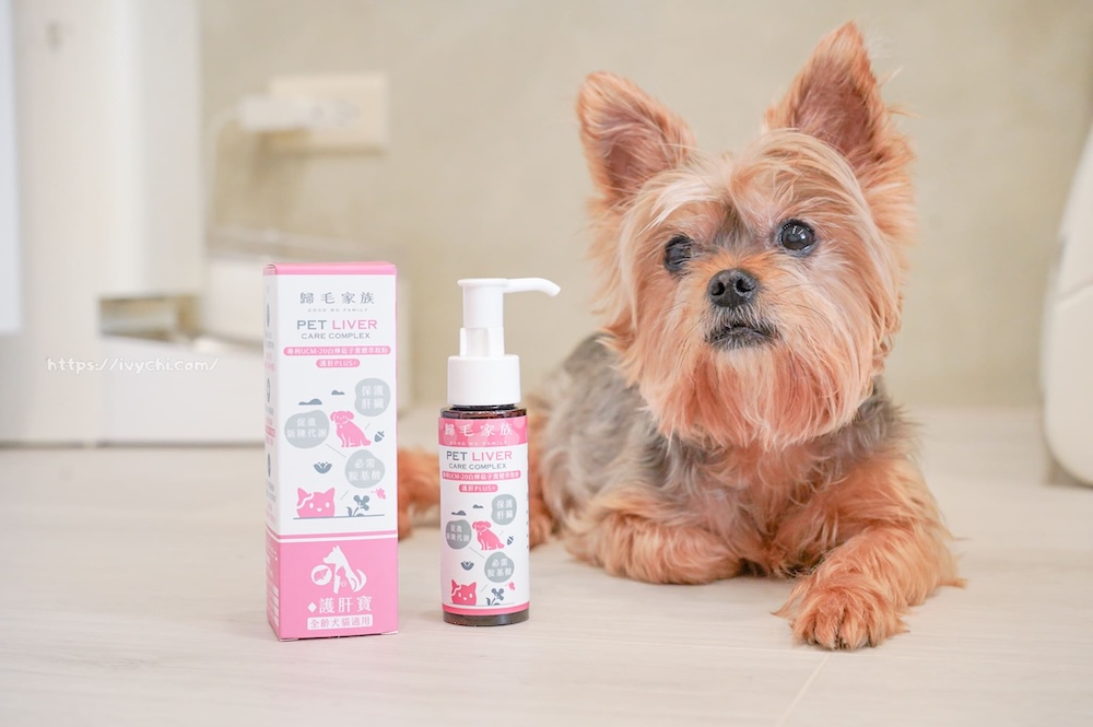 20250805215555 0 254e0f