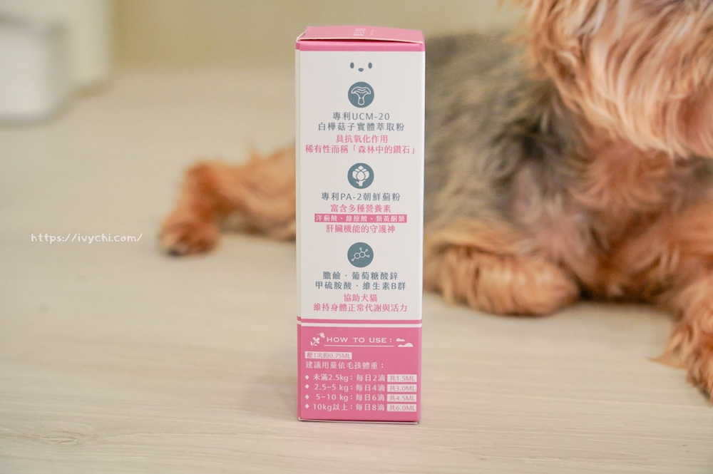 20250805222349 0 7cc5ae