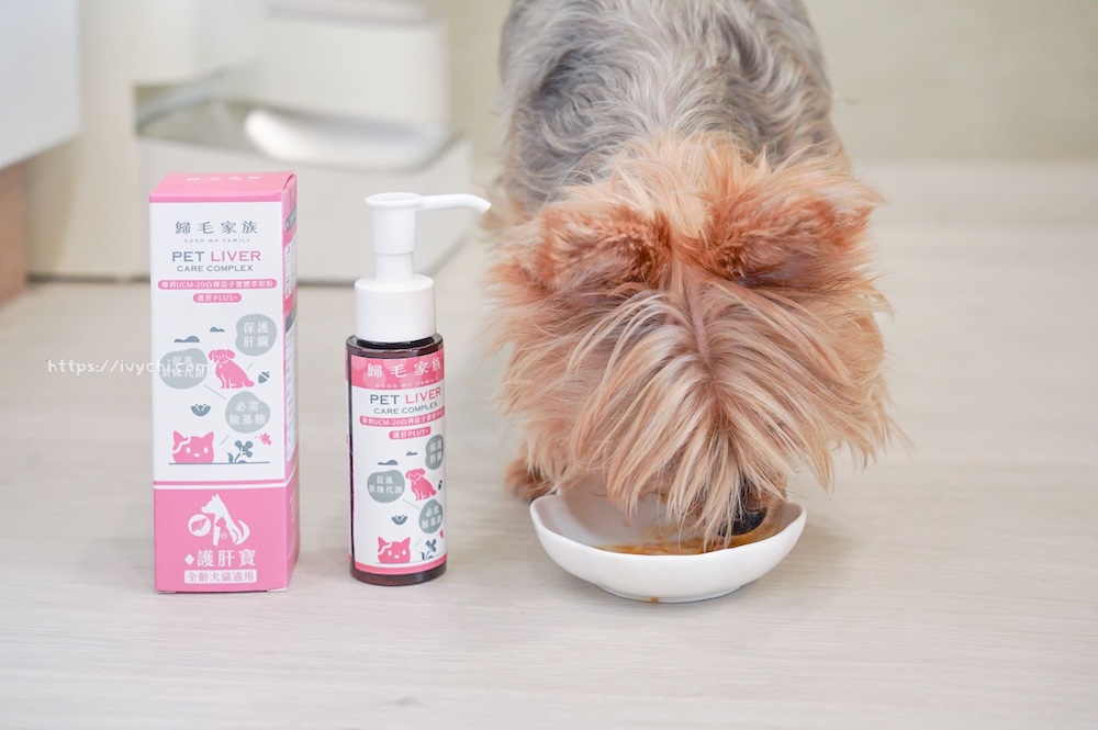 20250805222859 0 d9be26