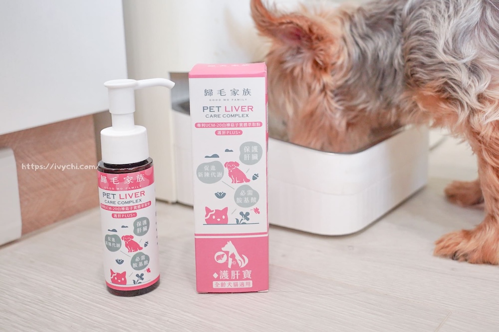 20250805223256 0 d08e1d