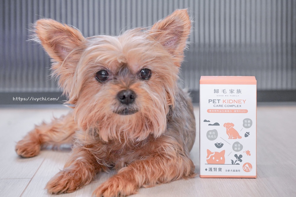 20250805230656 0 2ee4e2