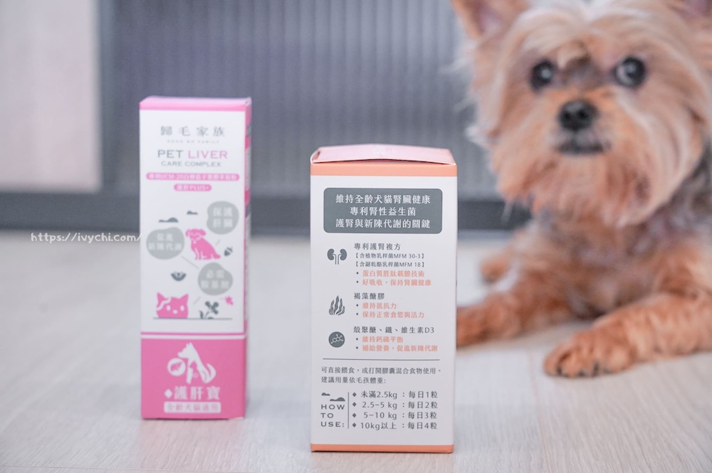 20250805230657 0 d6d8ec