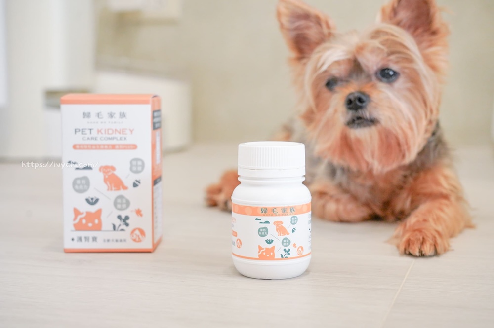 20250805230702 0 bd3233