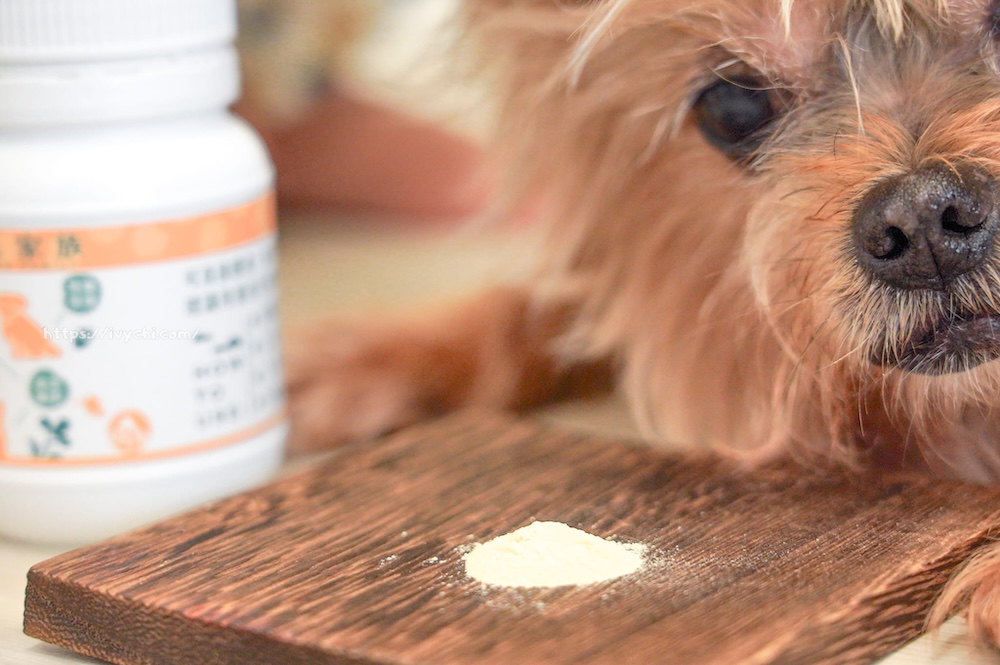 20250805230711 0 24e9a4