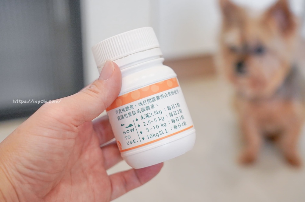 20250806084342 0 02e2b3