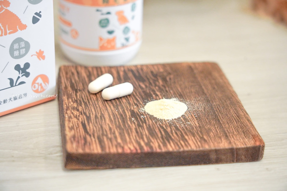 20250806084448 0 c98d49