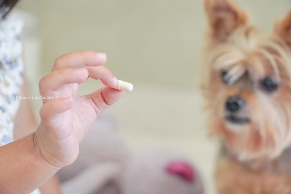 20250806085045 0 901cbf