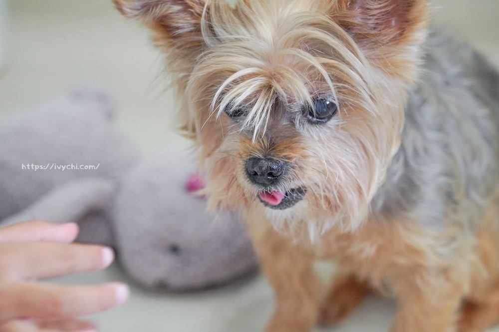 20250806085047 0 c375ed