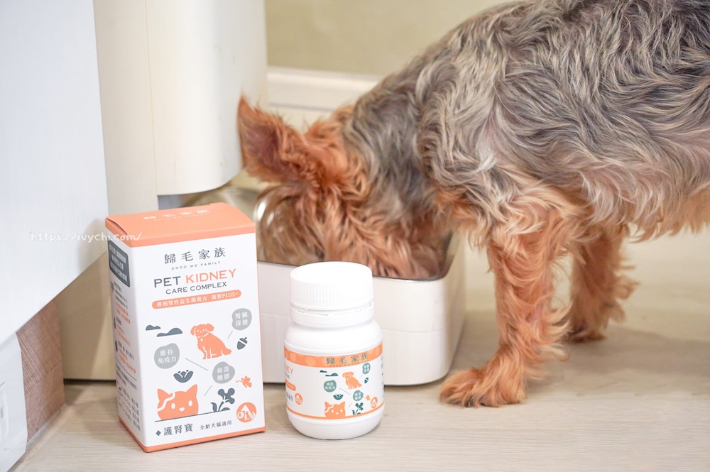 20250806085049 0 db1e91