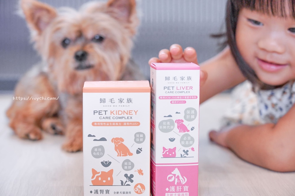 20250806090721 0 9cf1b0