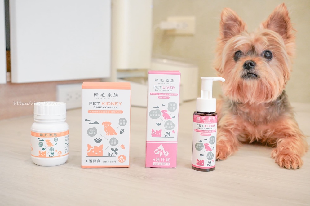 20250806091215 0 a4a58f