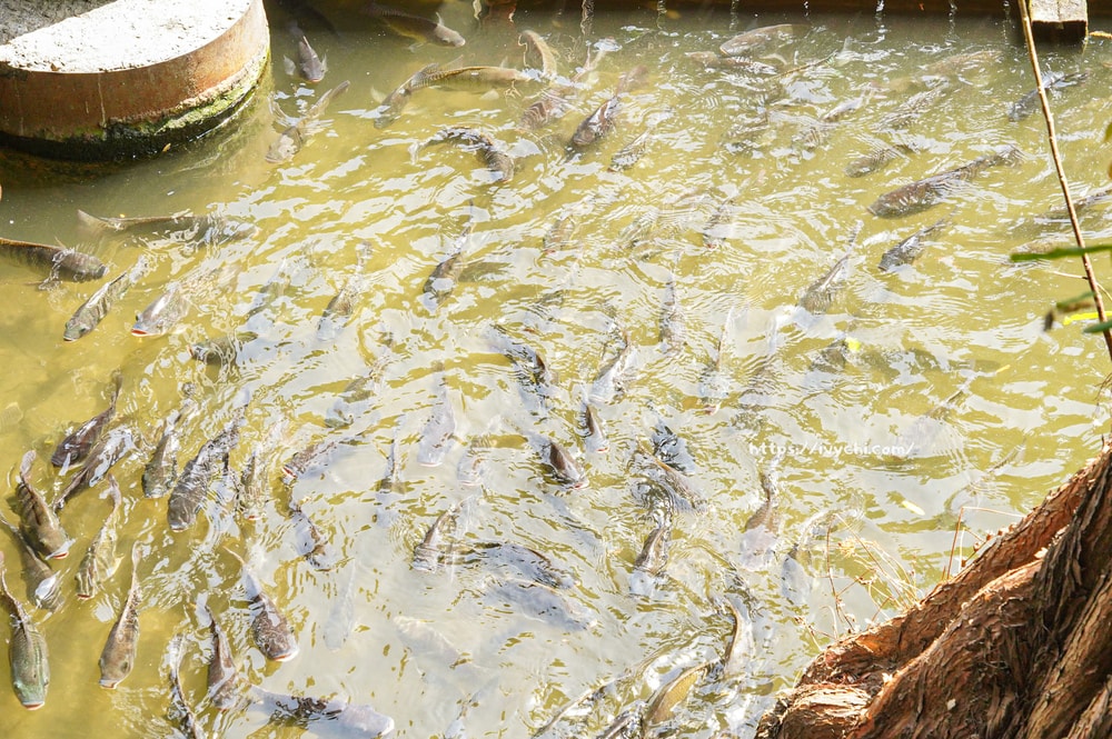 20250915124404 0 9b4285