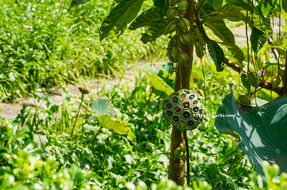 20250915132130 0 b06b1e