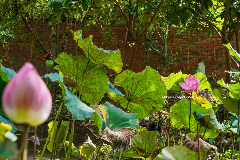 20250915132136 0 c3b4b0