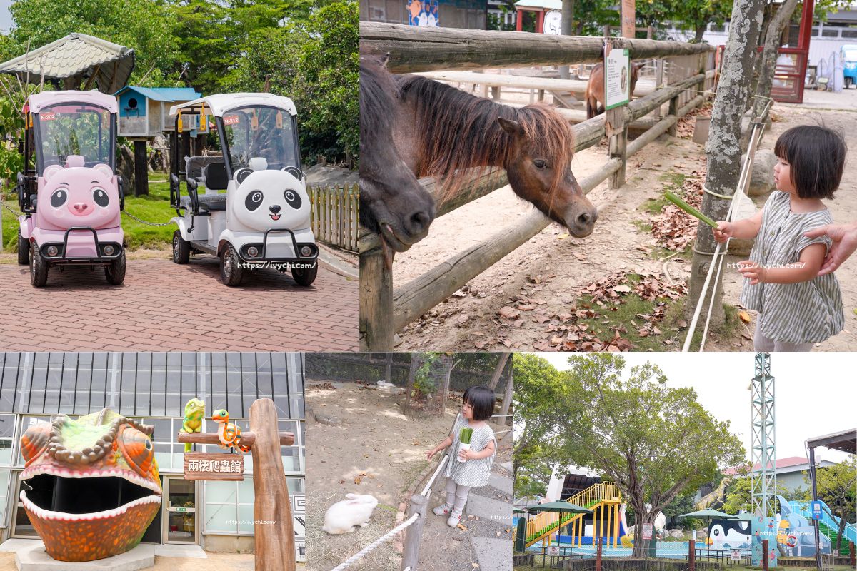 頑皮世界野生動物園 |台南親子景點推薦,最狂動物園、遊戲場、戲水池三合一,親子放電必訪天堂!