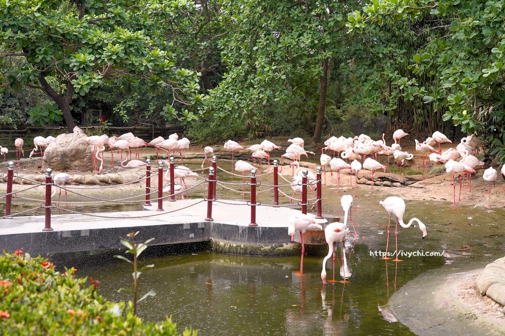 20250925093053 0 606fd3