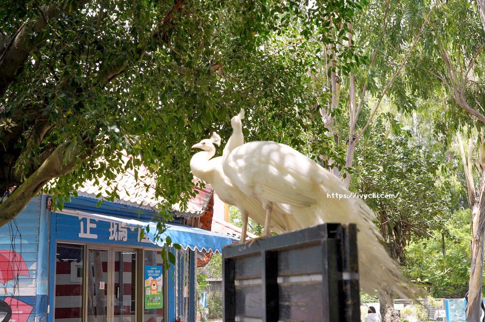 20250925093501 0 739432