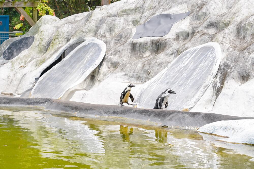 20250925093503 0 a90ea3