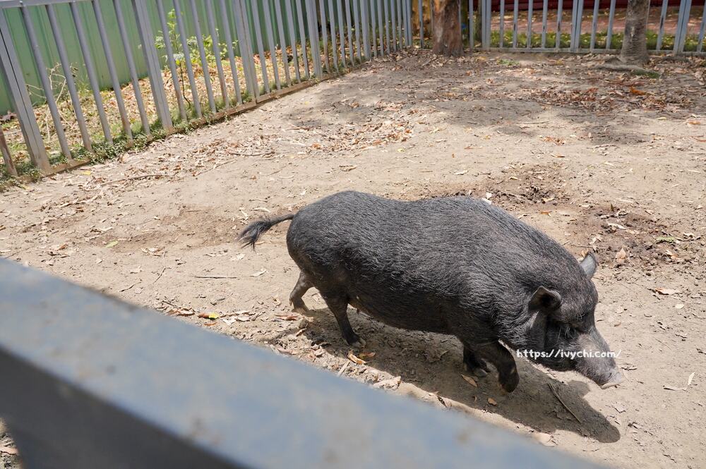 20250925093505 0 62ae26