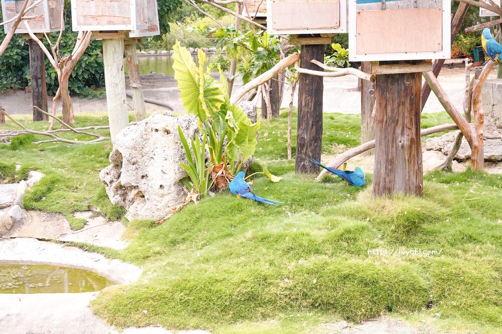 20250925093659 0 484af8