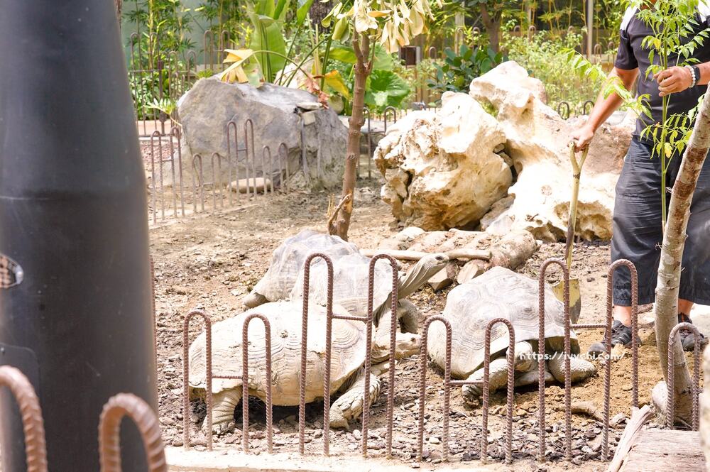 20251003102501 0 e42993