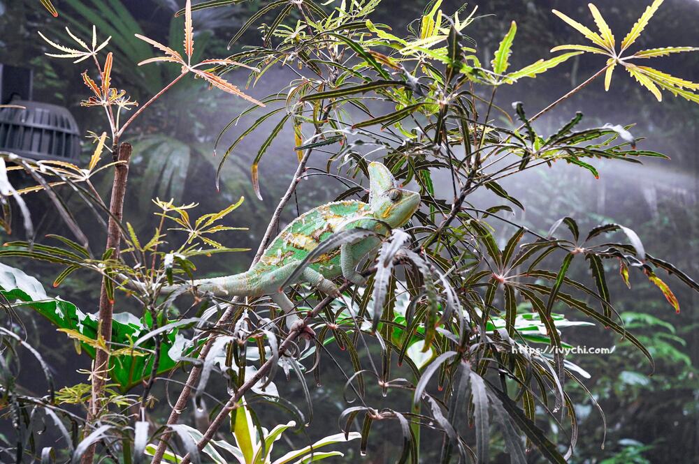 20251003102502 0 c9eb39