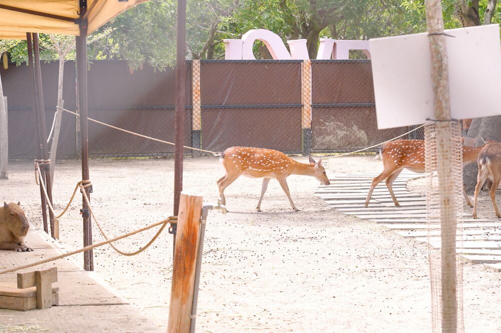 20251003105052 0 6918f9