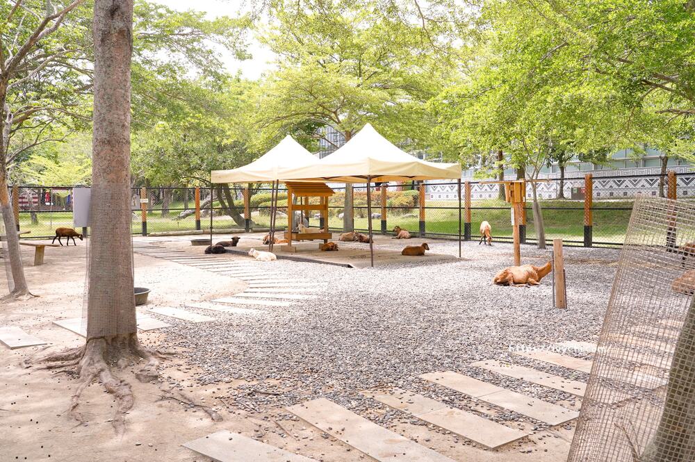 20251003105054 0 f45dcb