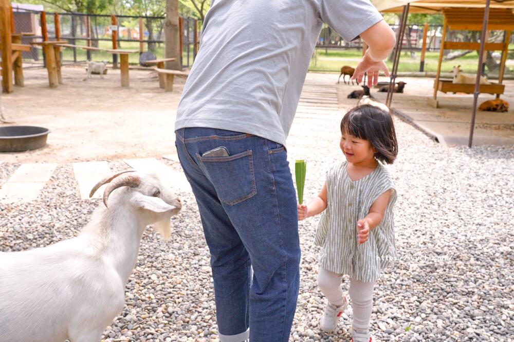 20251003105056 0 04f6a8