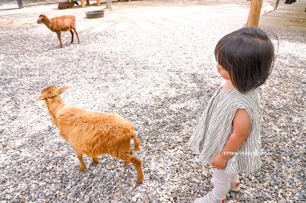 20251003105059 0 5ef984