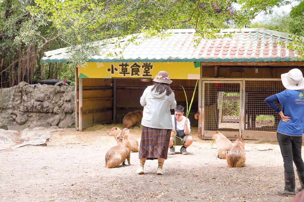 20251003105103 0 514183