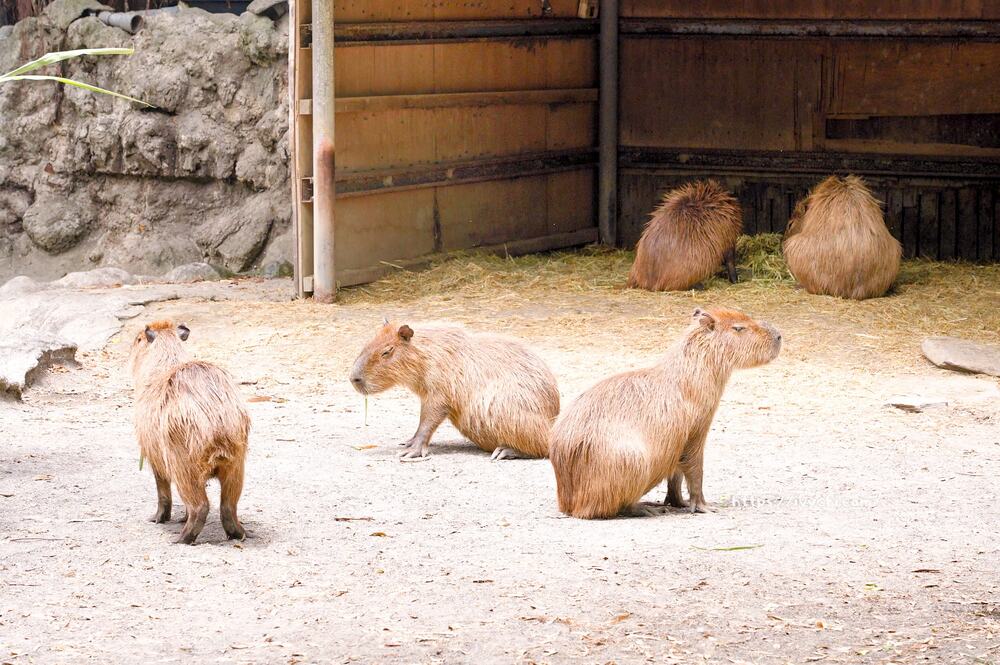 20251003105105 0 9e56e9