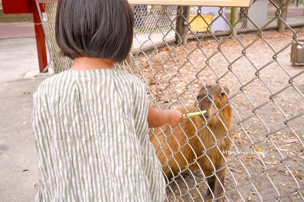 20251003105108 0 5c1b5f