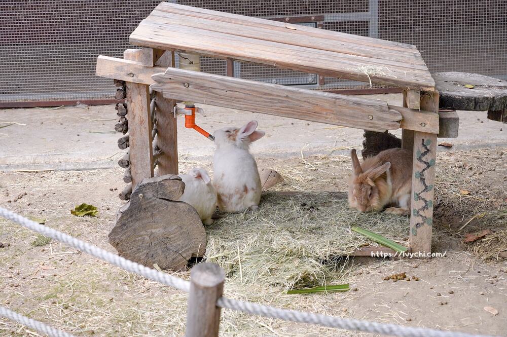 20251003105122 0 994c3a