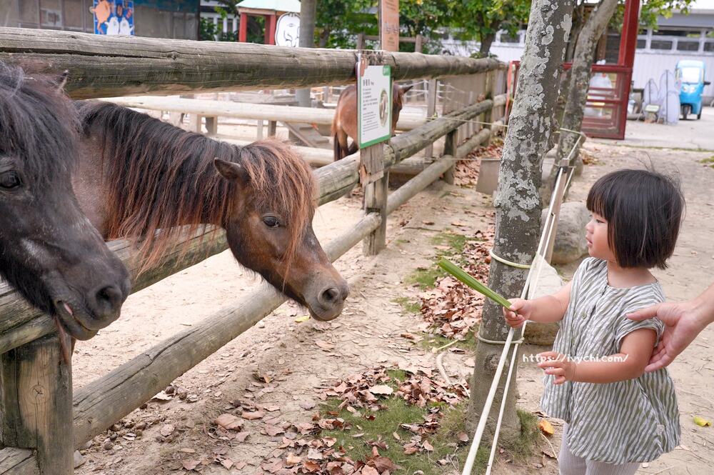 20251003105127 0 c90df6