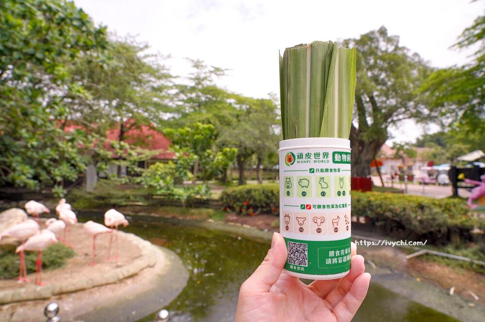 20251003105223 0 5e99ac