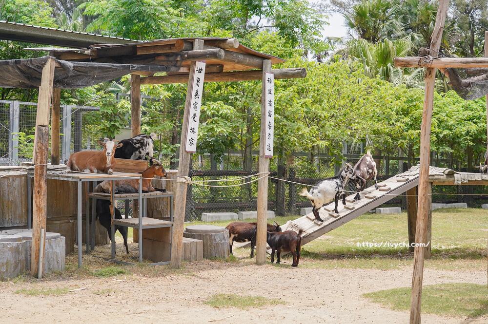 20251003110210 0 f84f2a