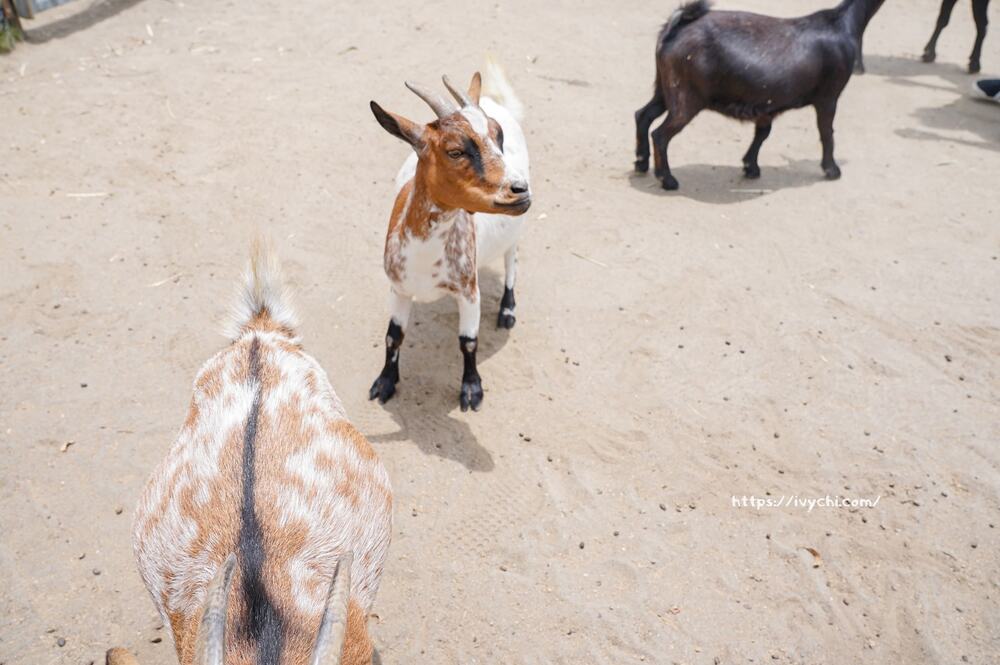 20251003110213 0 68d99f